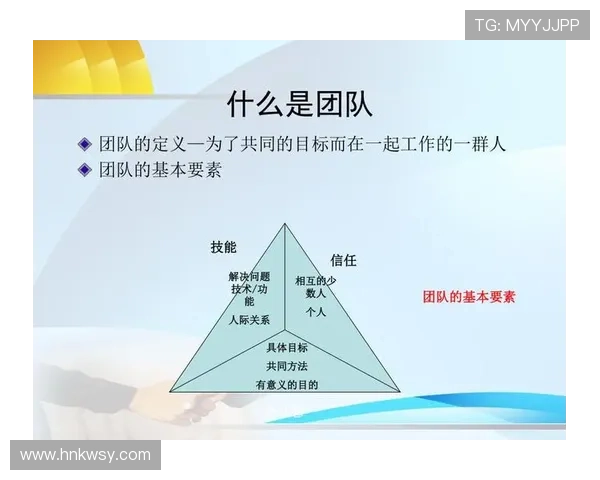 武汉羽毛球队团队协作表现的深度数据分析与研究探讨